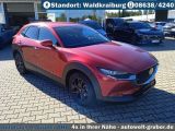 Mazda CX-30 bei Sportwagen.expert - Abbildung (7 / 15)