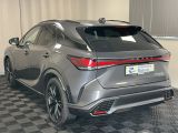 Lexus RX bei Sportwagen.expert - Abbildung (6 / 15)