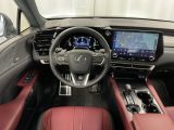 Lexus RX bei Sportwagen.expert - Abbildung (13 / 15)