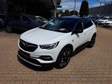 Opel Grandland X bei Sportwagen.expert - Abbildung (2 / 15)