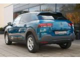 Citroen C4 Cactus bei Sportwagen.expert - Abbildung (4 / 15)