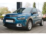Citroen C4 Cactus bei Sportwagen.expert - Abbildung (5 / 15)