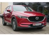 Mazda CX 5 bei Sportwagen.expert - Abbildung (2 / 15)