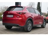 Mazda CX 5 bei Sportwagen.expert - Abbildung (3 / 15)