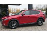 Mazda CX 5 bei Sportwagen.expert - Abbildung (4 / 15)