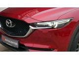 Mazda CX 5 bei Sportwagen.expert - Abbildung (8 / 15)