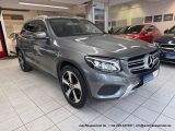 Mercedes-Benz GLC 250 4Matic bei Sportwagen.expert - Abbildung (5 / 15)