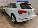 Audi Q5 bei Sportwagen.expert - Abbildung (6 / 15)