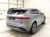 Jaguar F-Pace bei Sportwagen.expert - Abbildung (3 / 6)