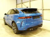 Jaguar F-Pace bei Sportwagen.expert - Abbildung (3 / 6)