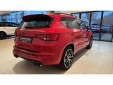 Cupra Ateca bei Sportwagen.expert - Abbildung (5 / 15)