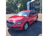 Skoda Kamiq bei Sportwagen.expert - Abbildung (4 / 10)