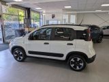 Fiat Panda bei Sportwagen.expert - Abbildung (2 / 15)