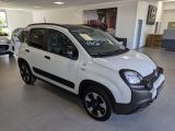 Fiat Panda bei Sportwagen.expert - Abbildung (4 / 15)