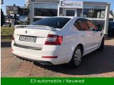 Skoda Octavia bei Sportwagen.expert - Abbildung (5 / 15)