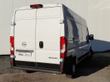 Opel Movano bei Sportwagen.expert - Abbildung (3 / 15)