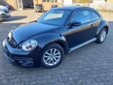 VW Beetle bei Sportwagen.expert - Abbildung (2 / 15) VW Beetle bei Sportwagen.expert - Abbildung (2 / 15)
