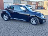 VW Beetle bei Sportwagen.expert - Abbildung (13 / 15) VW Beetle bei Sportwagen.expert - Abbildung (13 / 15)