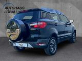 Ford EcoSport bei Sportwagen.expert - Abbildung (2 / 14)