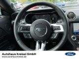 Ford Mustang bei Sportwagen.expert - Abbildung (12 / 15)