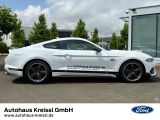 Ford Mustang bei Sportwagen.expert - Abbildung (6 / 15)