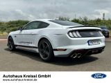 Ford Mustang bei Sportwagen.expert - Abbildung (3 / 15)