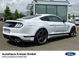 Ford Mustang bei Sportwagen.expert - Abbildung (5 / 15)