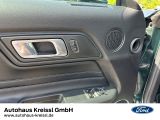 Ford Mustang bei Sportwagen.expert - Abbildung (13 / 15)