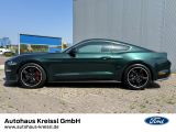 Ford Mustang bei Sportwagen.expert - Abbildung (2 / 15)
