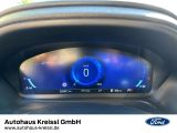 Ford Puma bei Sportwagen.expert - Abbildung (15 / 15)