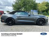 Ford Mustang bei Sportwagen.expert - Abbildung (6 / 15)