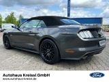 Ford Mustang bei Sportwagen.expert - Abbildung (3 / 15)