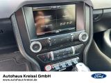 Ford Mustang bei Sportwagen.expert - Abbildung (13 / 15)
