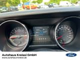 Ford Mustang bei Sportwagen.expert - Abbildung (12 / 15)
