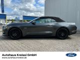 Ford Mustang bei Sportwagen.expert - Abbildung (2 / 15)