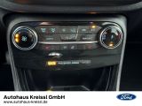 Ford Puma bei Sportwagen.expert - Abbildung (15 / 15)