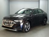 Audi e-tron bei Sportwagen.expert - Abbildung (2 / 15)