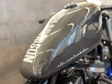 Harley-Davidson Sportster bei Sportwagen.expert - Abbildung (14 / 15)