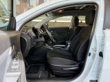 Kia Sportage bei Sportwagen.expert - Abbildung (2 / 15)