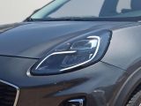 Ford Puma bei Sportwagen.expert - Abbildung (5 / 15)