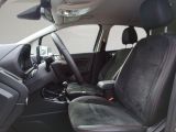 Ford EcoSport bei Sportwagen.expert - Abbildung (14 / 15)