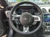 Ford Mustang bei Sportwagen.expert - Abbildung (7 / 15)