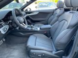 Audi S5 bei Sportwagen.expert - Abbildung (6 / 15)