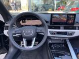Audi S5 bei Sportwagen.expert - Abbildung (3 / 15)