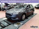 Ford Focus bei Sportwagen.expert - Abbildung (2 / 9)