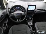 Ford EcoSport bei Sportwagen.expert - Abbildung (10 / 15)