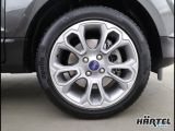 Ford EcoSport bei Sportwagen.expert - Abbildung (15 / 15)