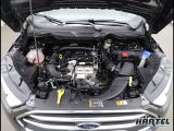 Ford EcoSport bei Sportwagen.expert - Abbildung (5 / 15)
