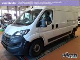 Fiat Ducato Maxi bei Sportwagen.expert - Abbildung (2 / 10) Fiat Ducato Maxi bei Sportwagen.expert - Abbildung (2 / 10)