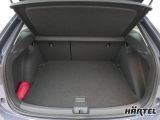 VW Taigo bei Sportwagen.expert - Abbildung (13 / 15)